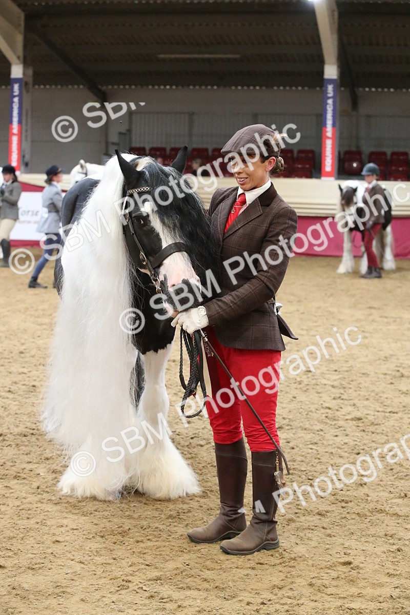 SBM_05797 - Class 9R - Regional IH Pre-Vet