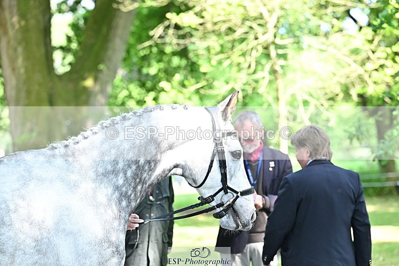 250521A-155405-00832 - B-377-Millie.Juleff-CFH.DAKAR.HILL