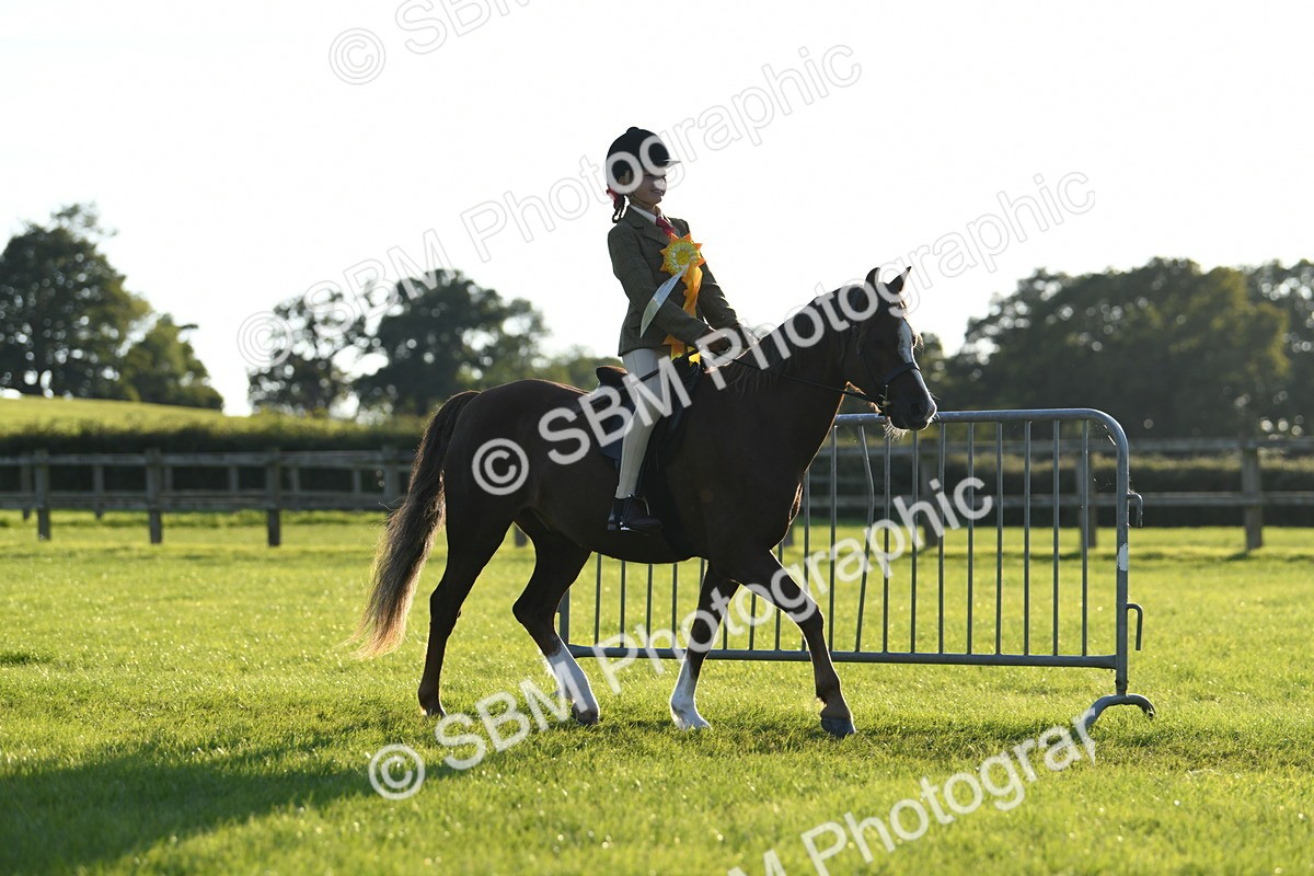 SBM_54220 - S23 - 1st Ridden Mountain & Moorland Pony