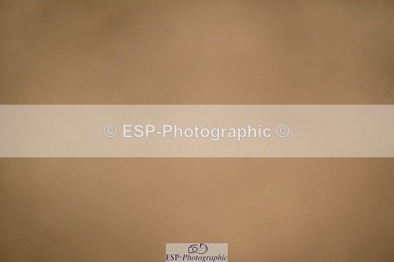 251026A-173300-27137 - 80 AND 90 PRESENTATIONS