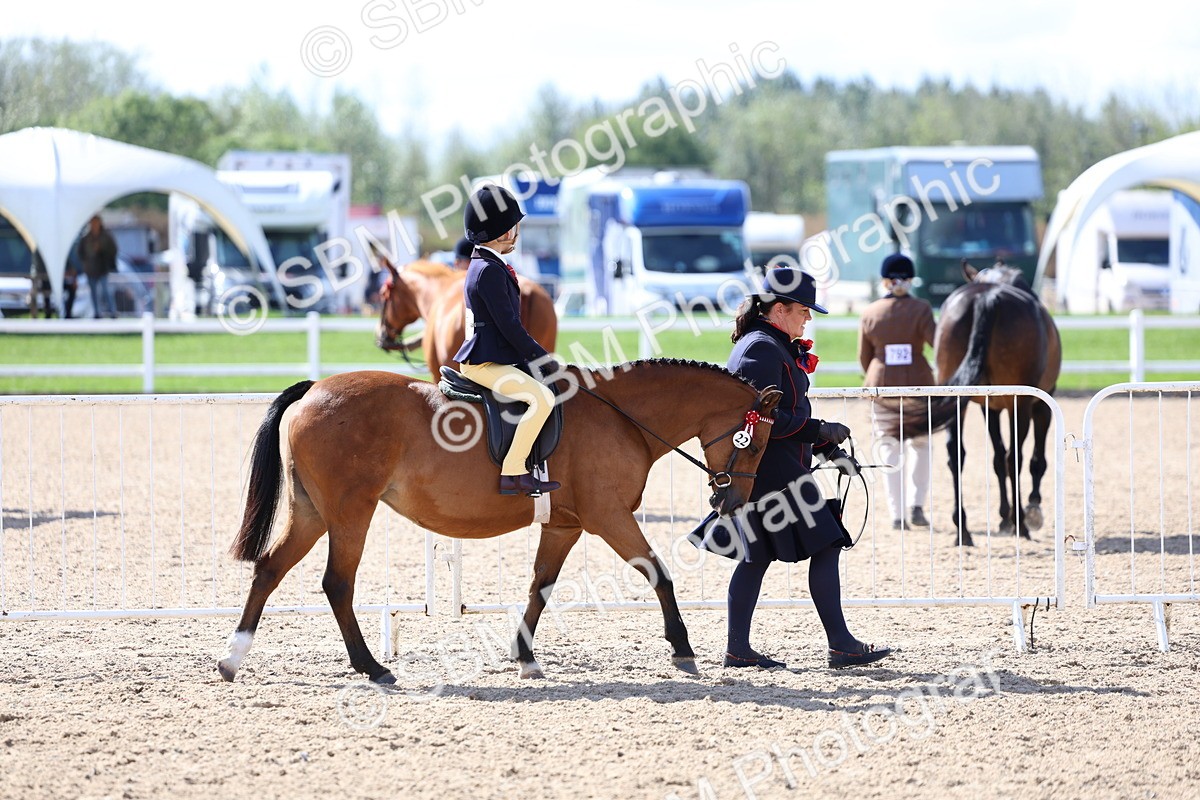 SBM_13009 - Class 309 - Lead Rein Pony