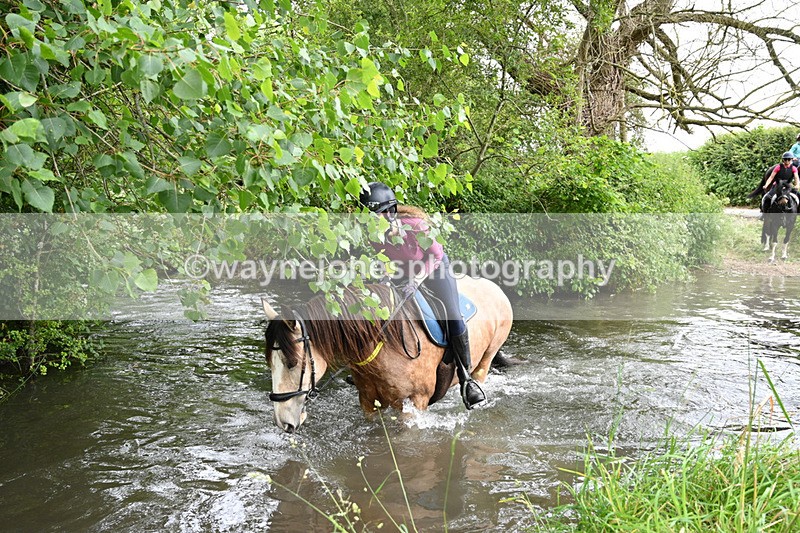 WJ7_2035 - Camera 2 Water Crossing