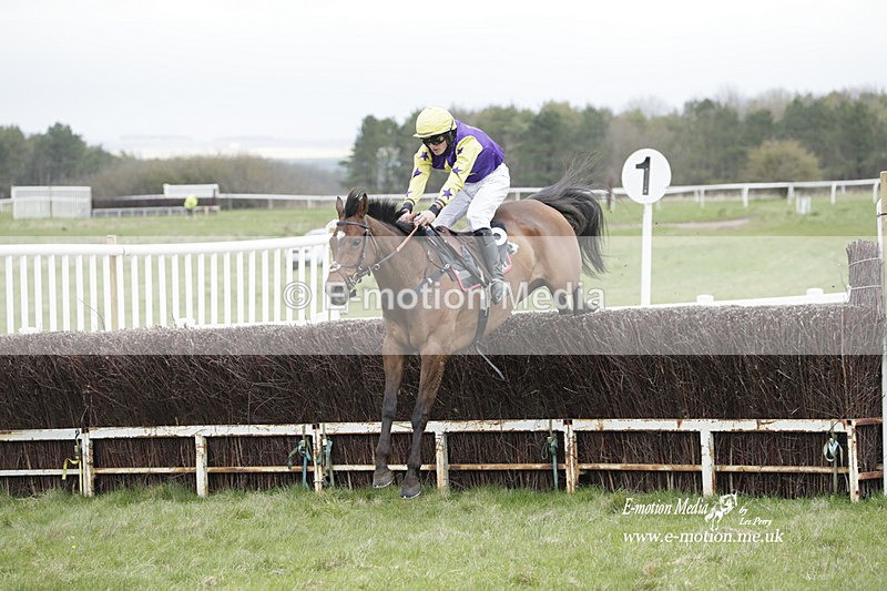 PtP 260323 0851 - New Forest Hounds Point-to-Point Larkhill 26/03/23
