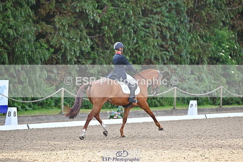 250523A-091224-05462 - D-453-Daisy.Berkeley-DIESE.DU.FIGUIER