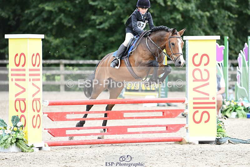 240825X-142248-35695 - 80cm SJ 14.00 to 15.55