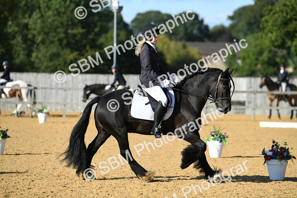SBM_28460 - D16 - Small Tour Championship - Novice 28