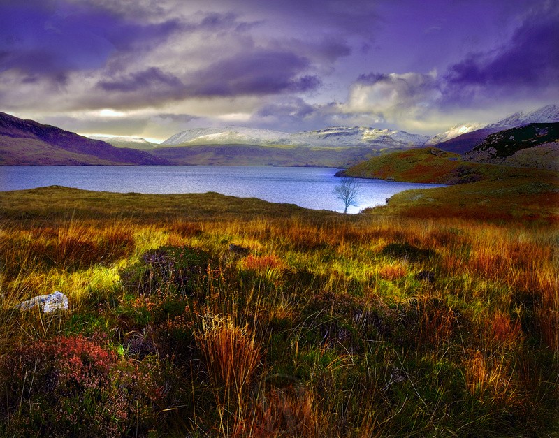 Loch Assynt Scottish Highlands - Land
