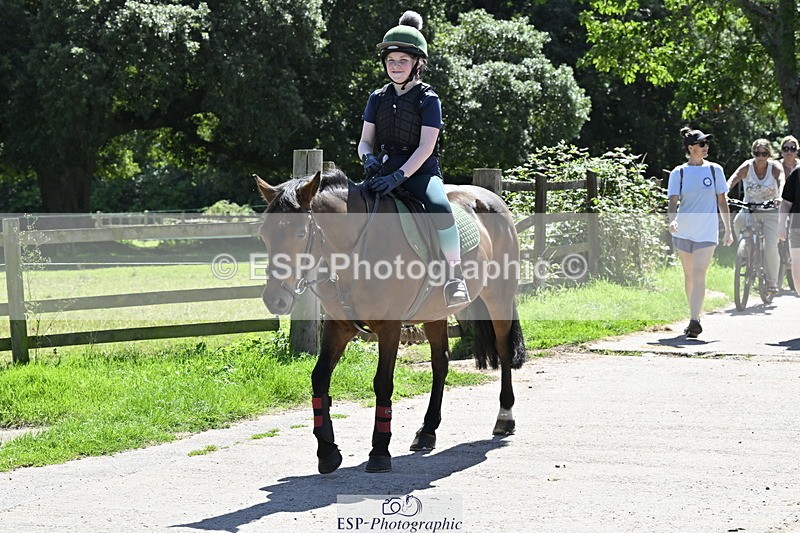 240728B-141229-00468 - Theo and Gemma's Groups Indoor