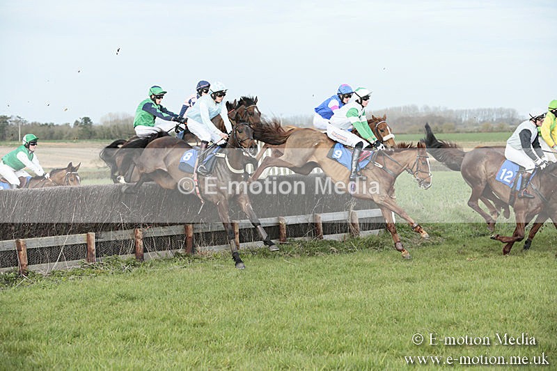 PtP 230319 433 - VWH Hunt Siddington Point-to-Point Racing 23/03/19