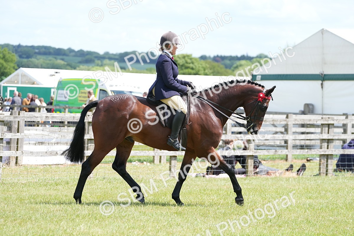 SBM_15877 - Class 103-104 - RIHS Hacks