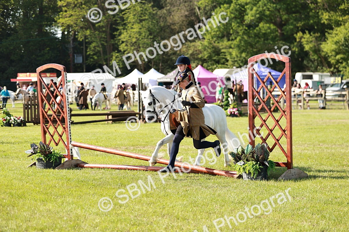 SBM_11301 - Class 106-107 - BSPS LIHS Working Sports Pony