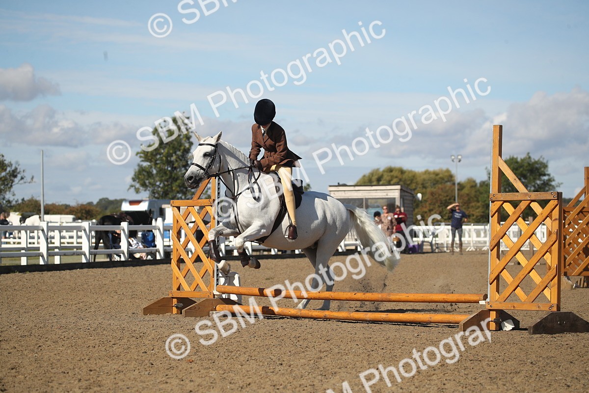 SBM_12746 - Class 504b - Junior Working Veteran - 40cm (20+)