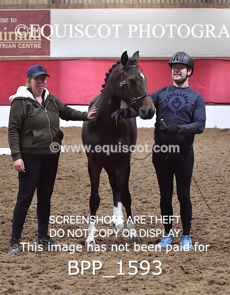 BPP_1593 - MORNING 9AM - 12PM