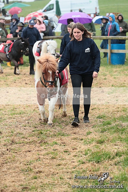 SHETPR 210425 35 - Shetland Ponies Paxford Races 21/04/25