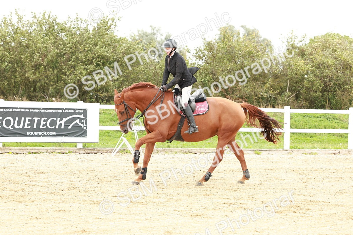 1I0A7136 - Class 2 - Senior British Novice