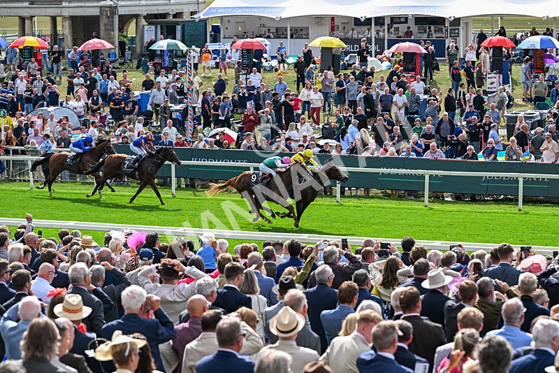 190826-Race 4-Item-1483 - Race 4 15.35pm Juddmonte International Stakes