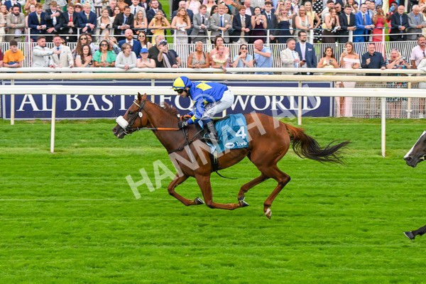 250725-Race 2-Rock N Roll Pinkie-5498 - Race 2 6.03pm Elevator Company Handicap