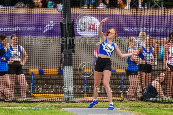 Sen25SUN-927626 - Field Female Set Two