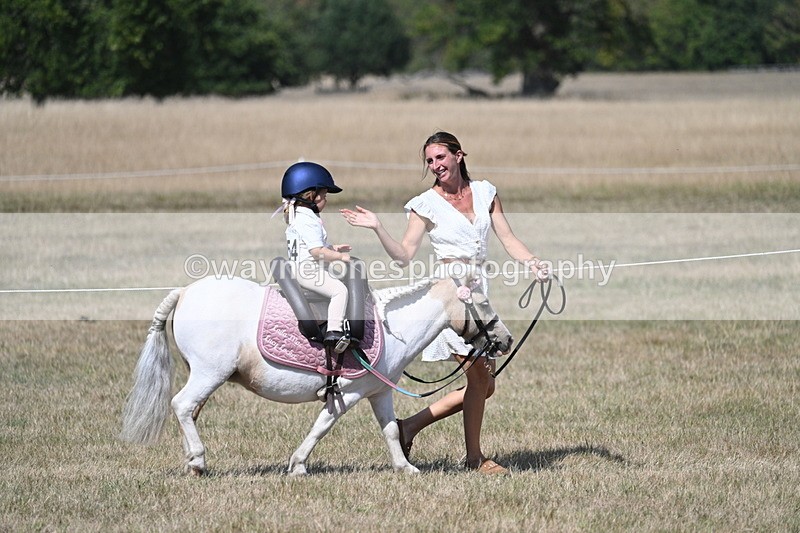 WJ7_1247 - Class 41 Prettiest Mare