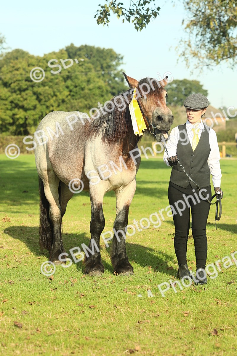 SBM_58644 - S37 - Starters In Hand Showing