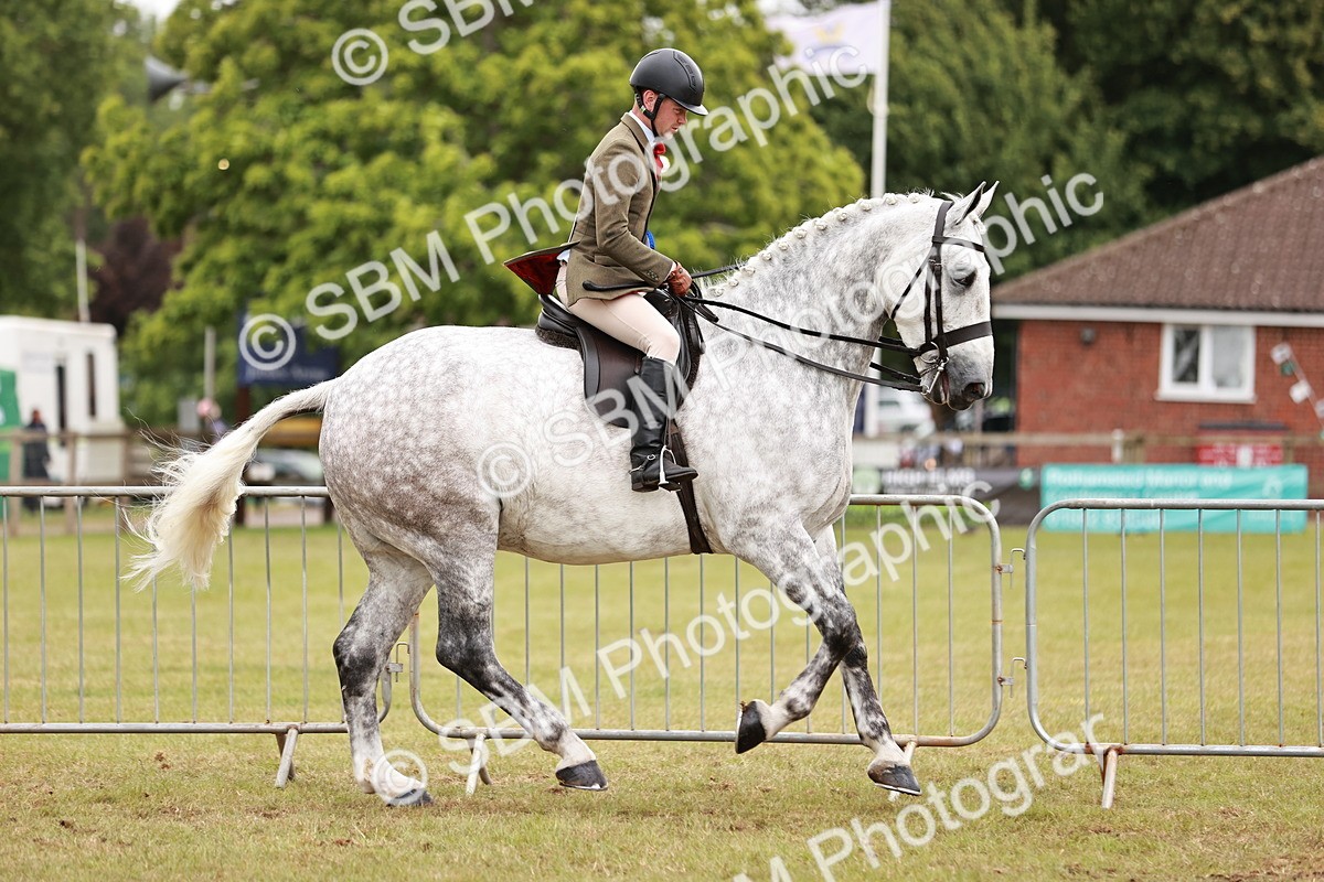 SBM_10955 - Class 81-84 - RIHS Ridden hunters Inc Ladies Hunter