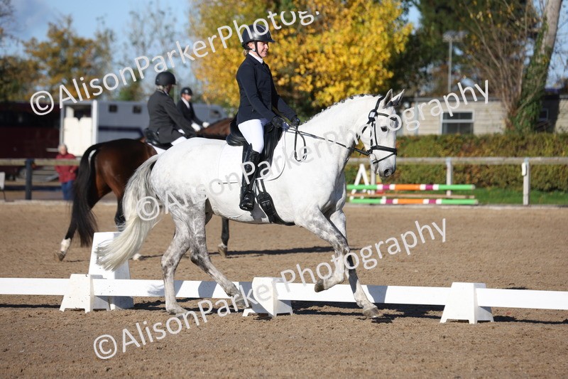 20251102-0447 - Class 3 - Novice 5