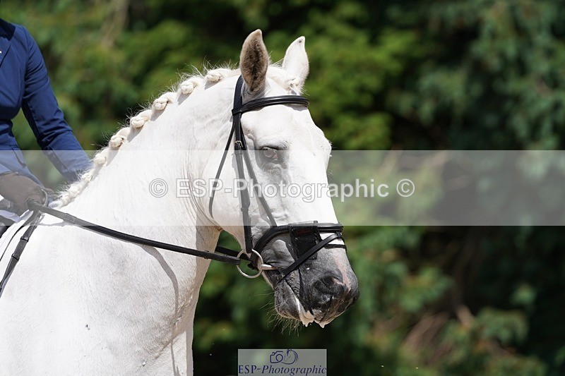 240721-141220-09227 - 147-Clare_Brown-TommieToo