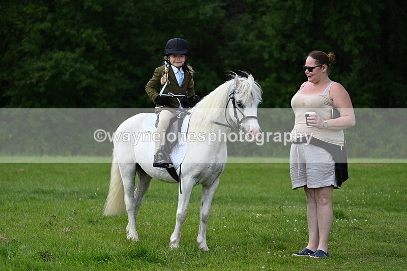 WJ7_1717 - Class 11 Condition & Turnout