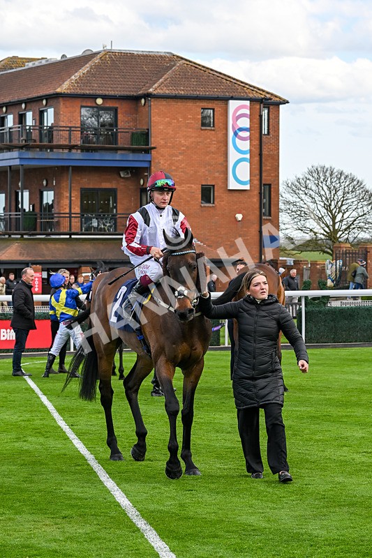 160425-Race 6-Nibras Gold-3841 - Race 6