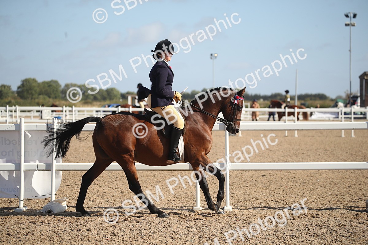 SBM_22782 - Class 602 - 2026 Area - Ridden Veteran