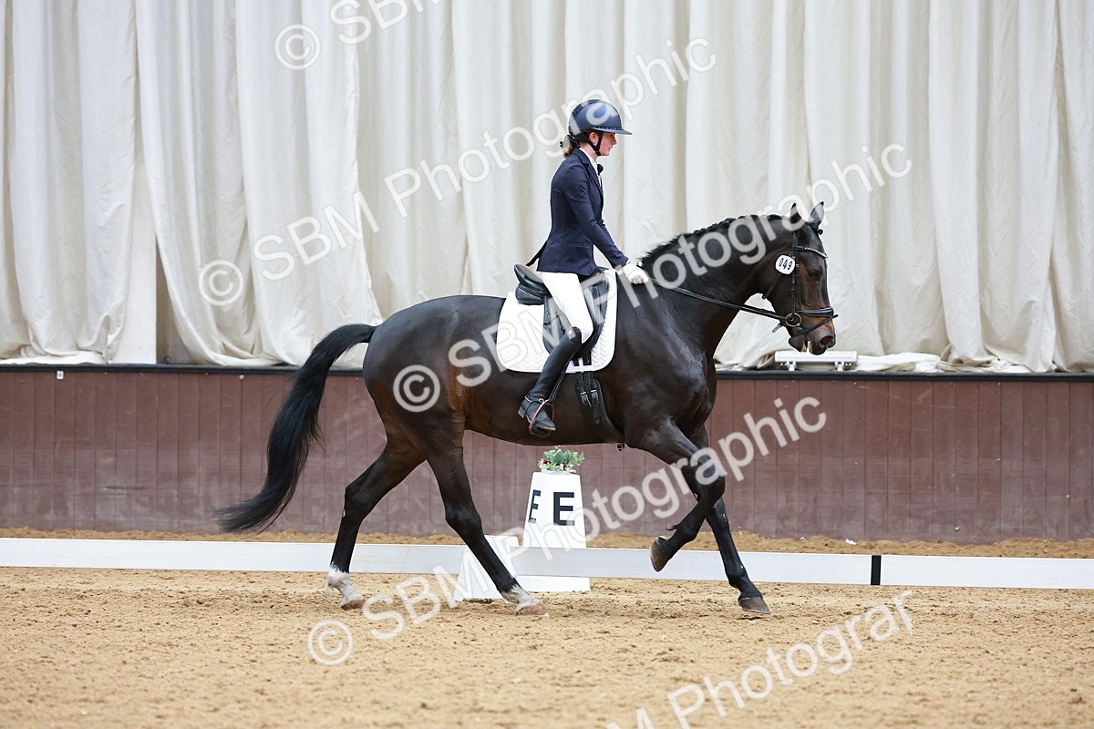 SBM_002942 - Class 14 - Novice 2