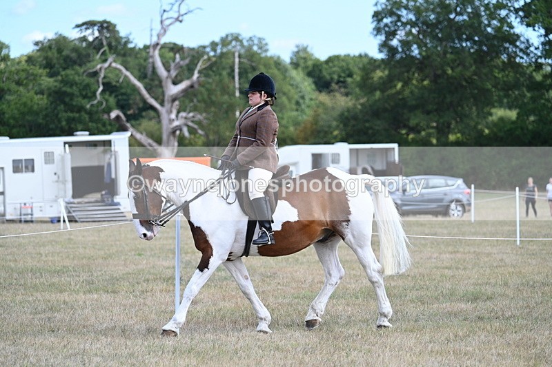 WJ7_6891 - Class 14 Ridden Coloured