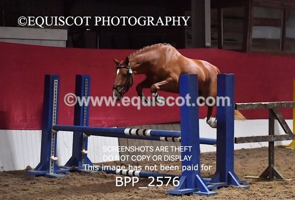 BPP_2576 - LOOSE JUMPING / SPSS