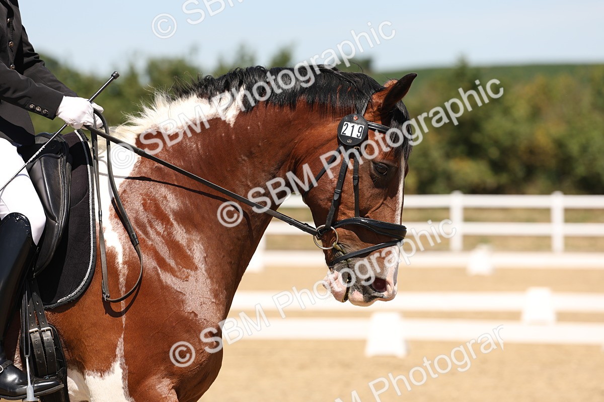 SBM_002278 - Elementary 4 Warm Up