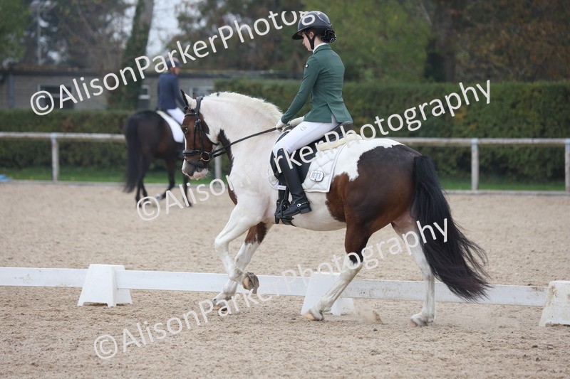 20251012-0704 - Class 6 - Elementary 6