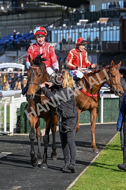 250424-Race 6-Wheres Jeff-1799 - Race 6