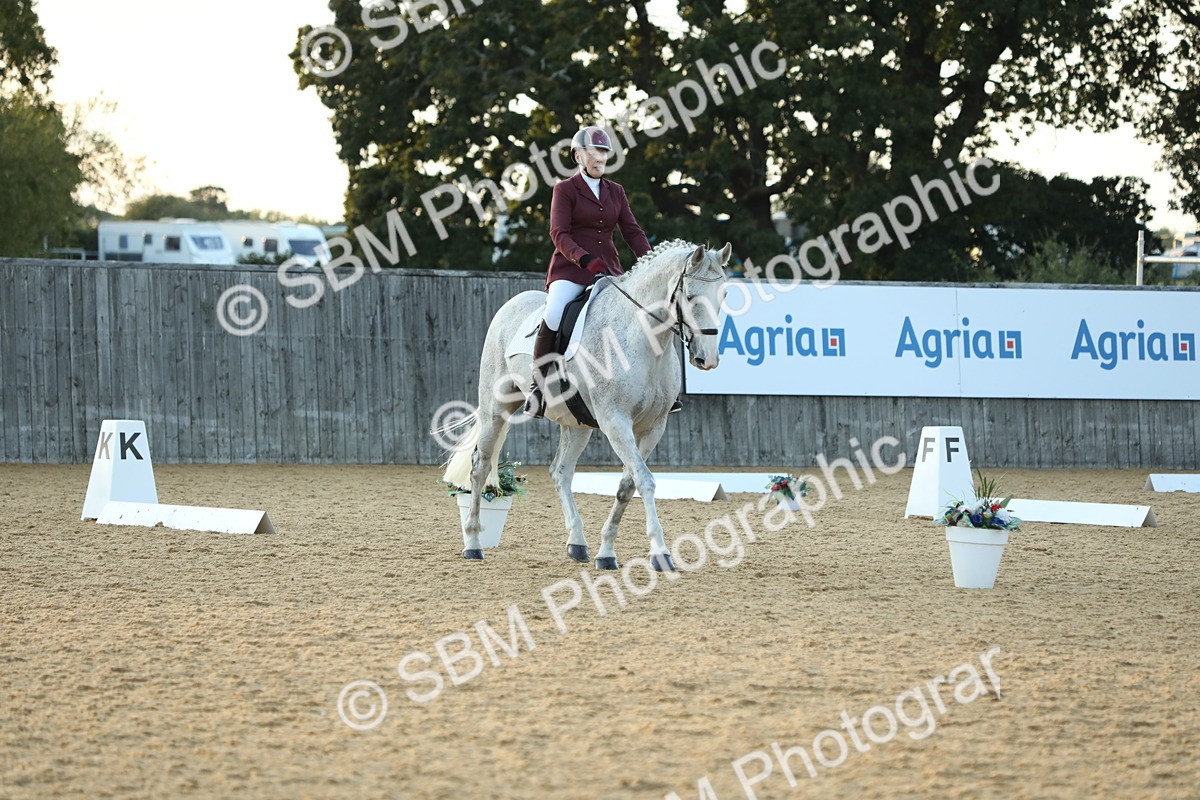 SBM_31176 - D20 - Grand Tour Championship - Elementary 44