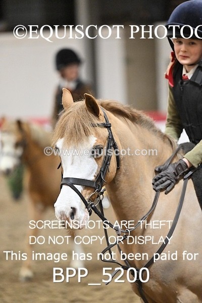 BPP_5200 - CLASS 4 50cm