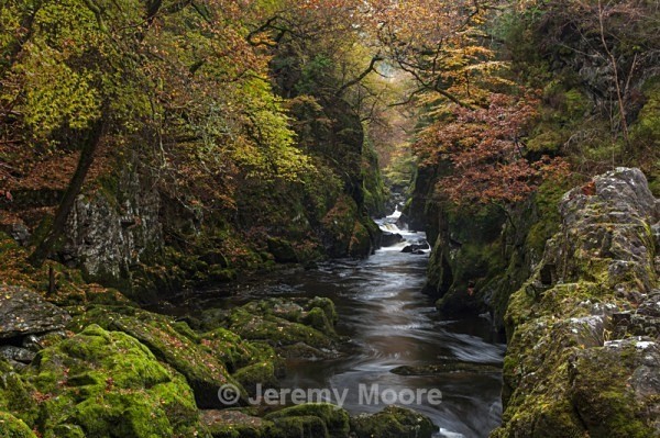 m265 - Snowdonia & Mid-Wales p/c catalogue