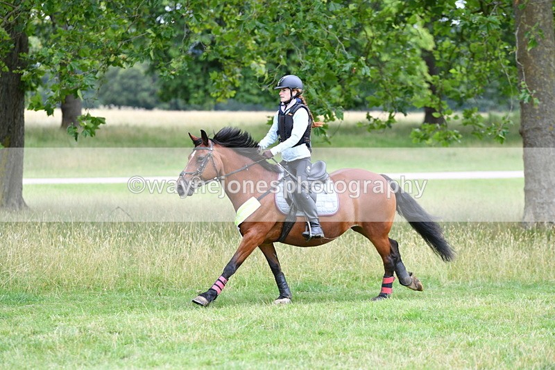 WJ5_0957 - Time at Jump 11:31 to 12:19