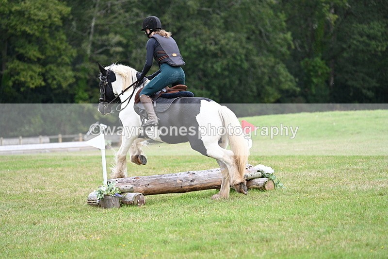 WJ7_7769 - 40cm Time 10:49 to 11:18