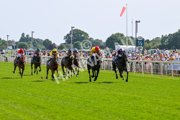 130625-Race 4-India Love-9215 - Race 4 3.35pm Juddmonte EBF Fillies' Restricted Novice Stakes