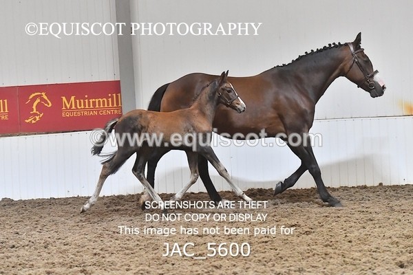 JAC_5600 - 13 Zi Real McCoy