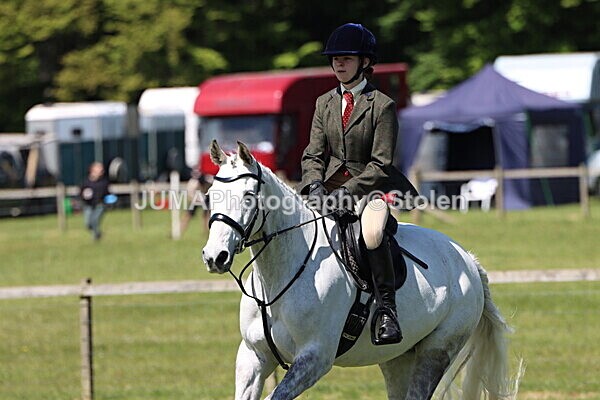 IMG_3525 - Working Hunter