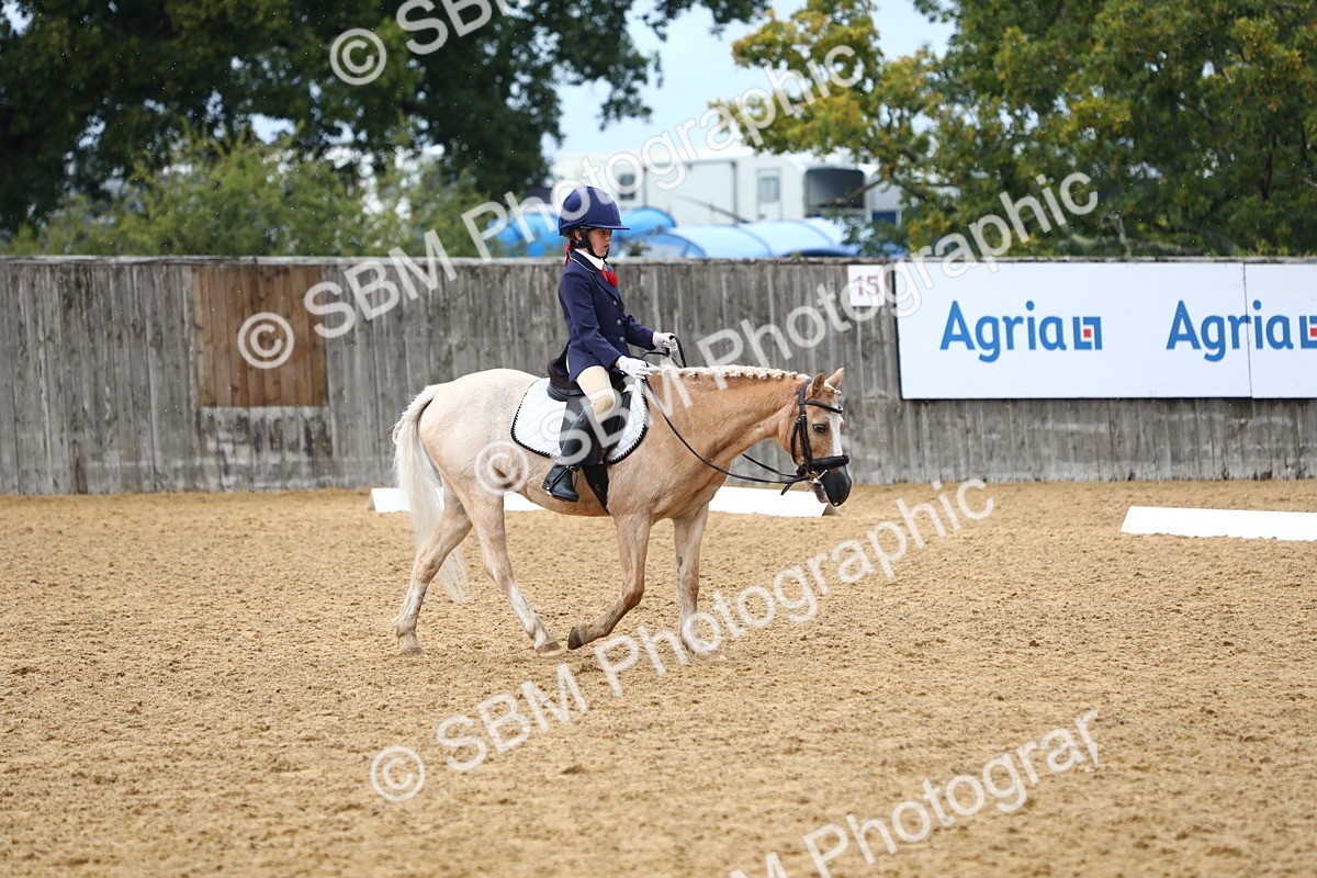 SBM_39057 - D21 - Junior Championship Intro 1