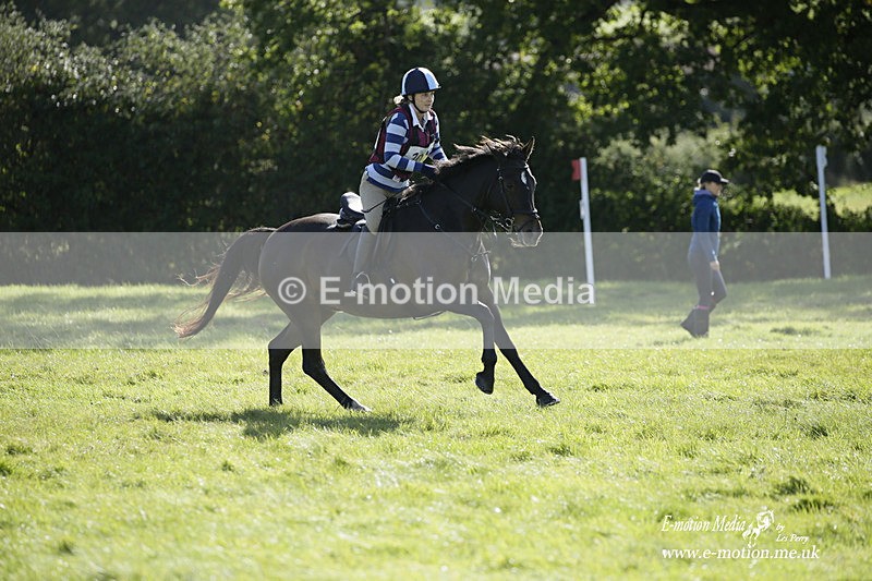  WWHT 031021 1297 - Open Novice (0.80m) 03/10/21