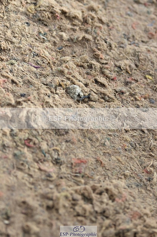 231013A-104044-01364 - Cls 1 85cm Amateur Quali