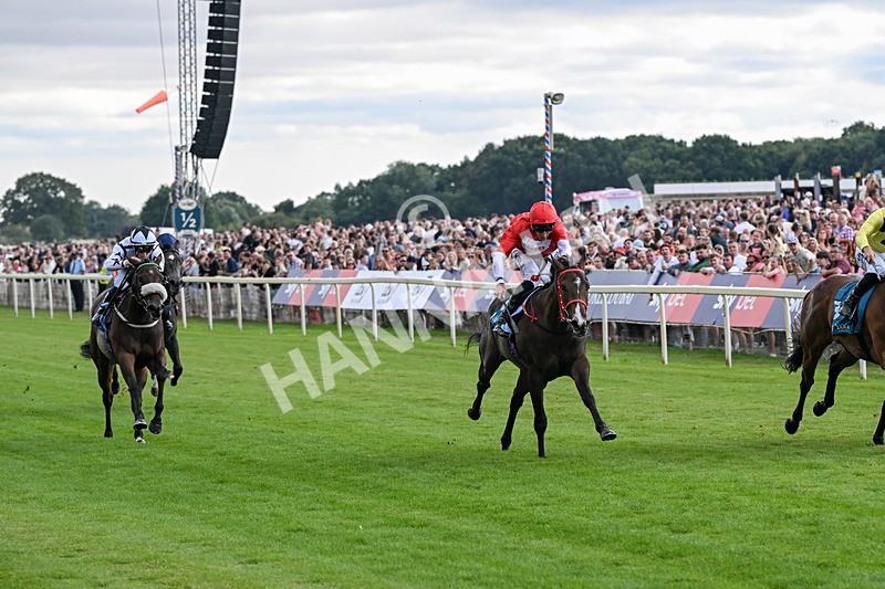 250726-Race 5-Rogue Jewel-7556 - Race 5 15.42pm Sky Bet Price Boosts EBF Fillies' Novice Stakes