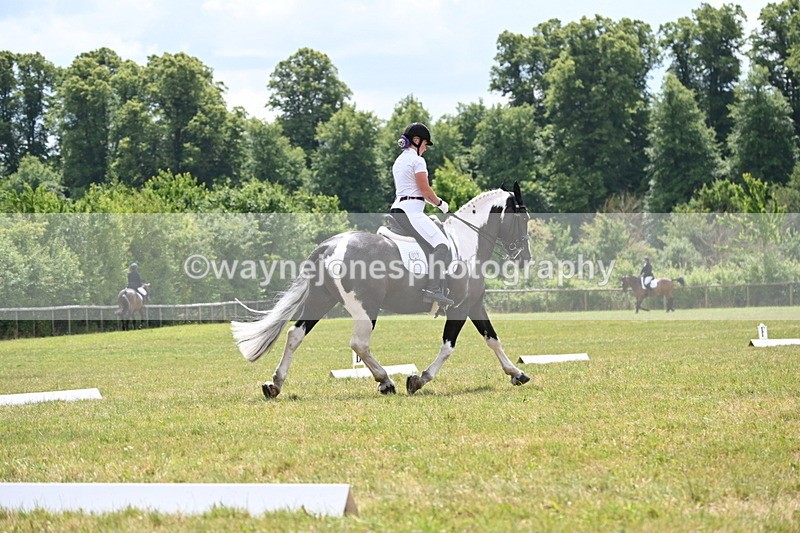 WJ6_6844 - Time 11:48 to 12:22