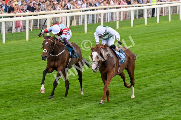 260725-Race 5-Beylerbeyi-0720 - Race 5 3.50pm Sky Bet, For The Fans Handicap